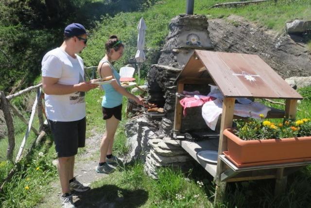 Edelweiss Mountain Guest House - 1 Hour Hike Up From Zermatt Station - On Hiking Trail - No Transport Exterior foto